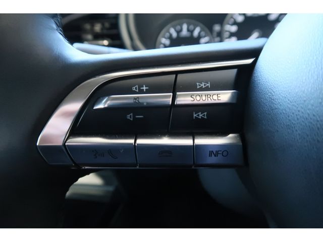 Mazda CX-30 2021-01 186778-10