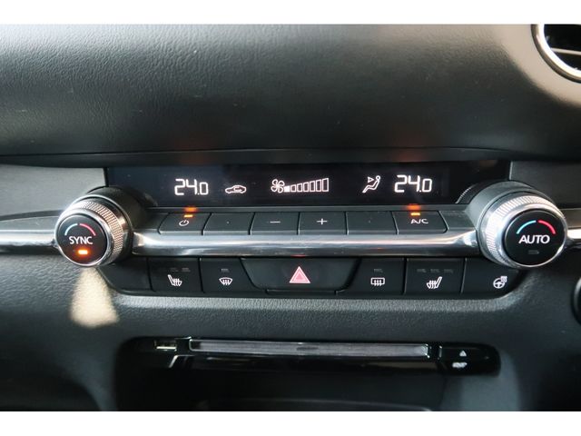 Mazda CX-30 2021-01 186778-18