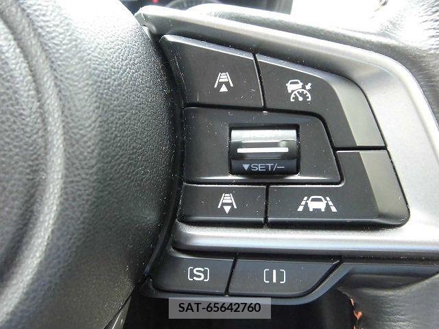 Subaru SUBARU 2018-06 375934-21