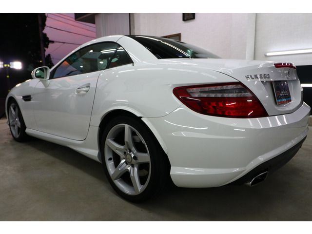 Mercedes Benz SLK 2013-08 22613-7