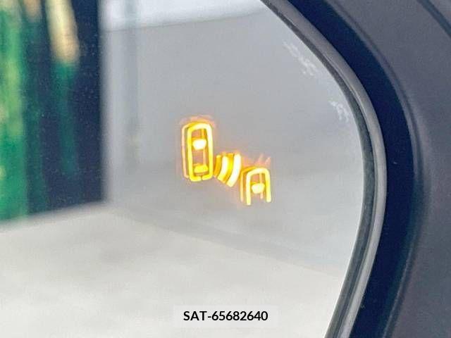 Toyota C-HR 2017-06 335123-6