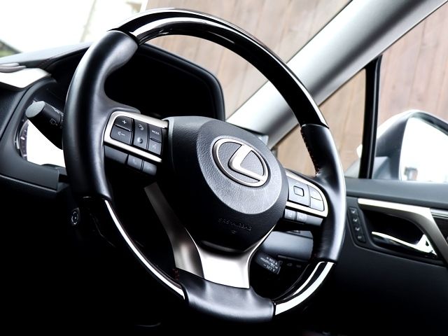 Lexus RX 2020-09 3103-14