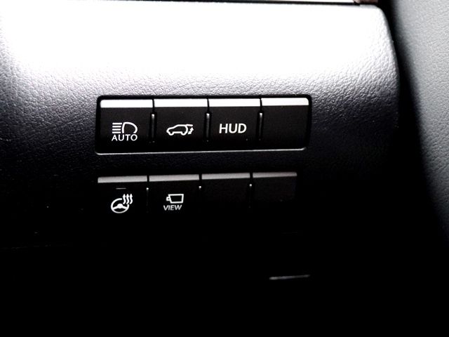 Lexus RX 2020-09 3103-20