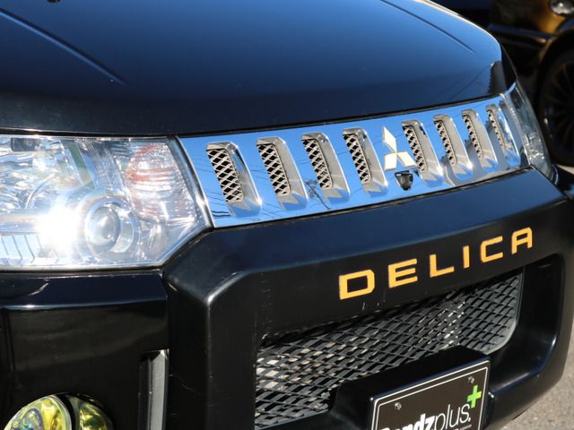 Mitsubishi DELICA D5 2014-07 5379-11