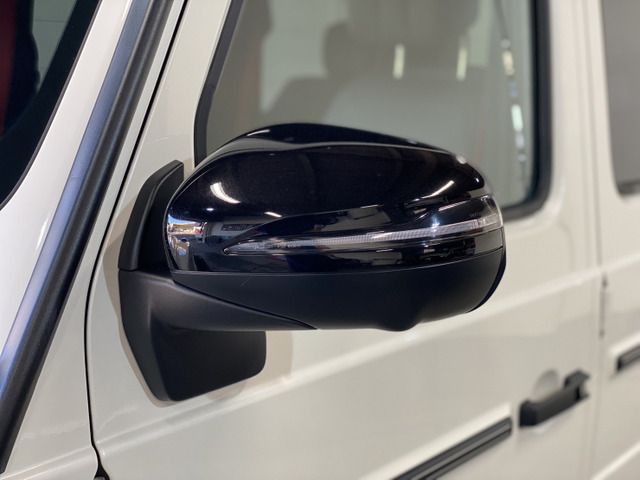 Mercedes Benz G-CLASS 2020-08 582-19