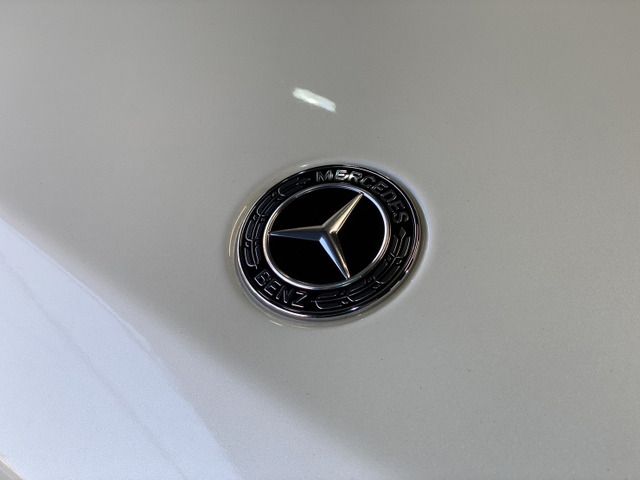 Mercedes Benz G-CLASS 2020-08 582-18