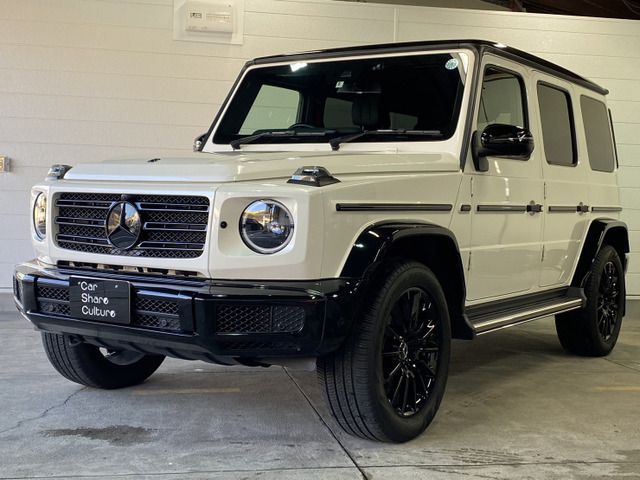 Mercedes Benz G-CLASS 2020-08 582-1