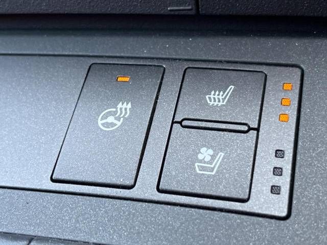 Lexus IS 2021-05 181033-4