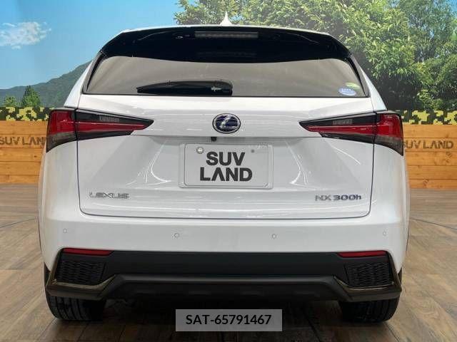 Lexus NX 2019-07 300553-15