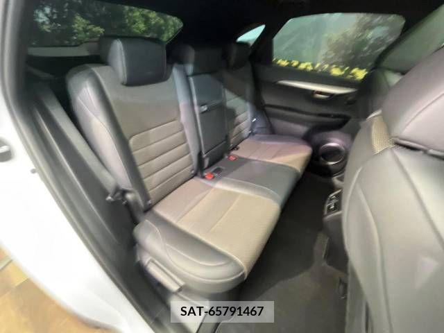 Lexus NX 2019-07 300553-10