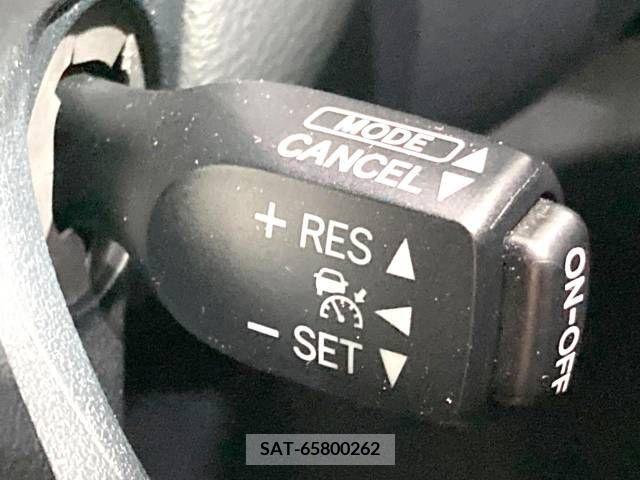 Toyota ALPHARD 2017-11 259018-6