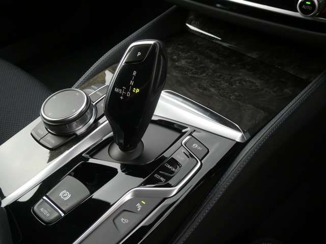 Bmw 5 SERIES 2018-09 17185-13