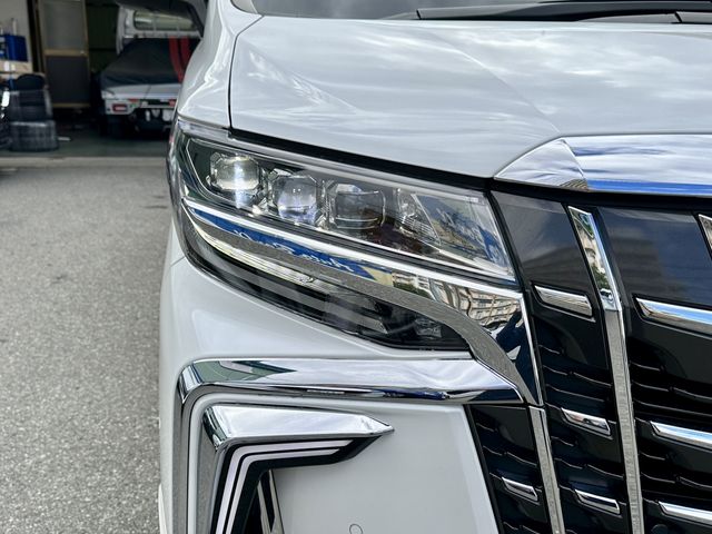 Toyota ALPHARD 2021-11 181130-6