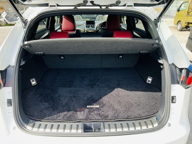 Lexus NX 2015-11 6446-20