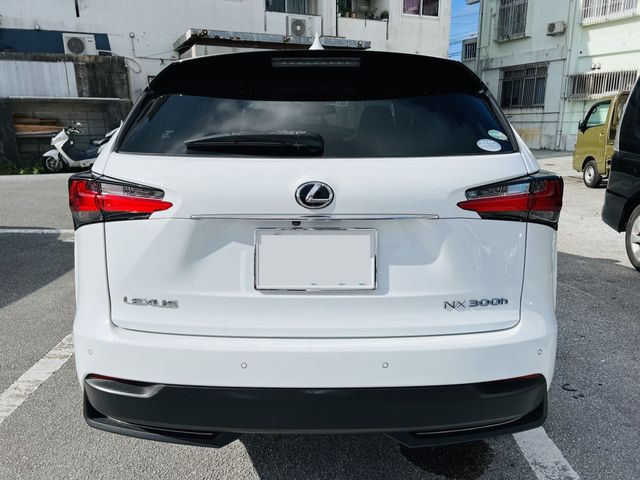 Lexus NX 2015-11 6446-3
