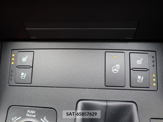 Lexus IS 2023-01 354136-16