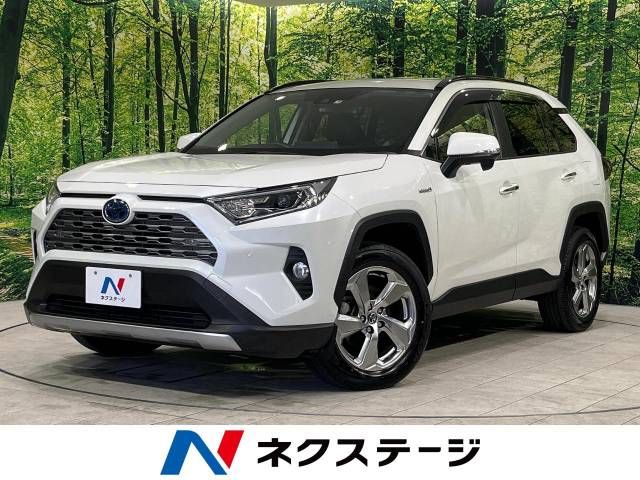 Toyota RAV4 2019-04 192776-0