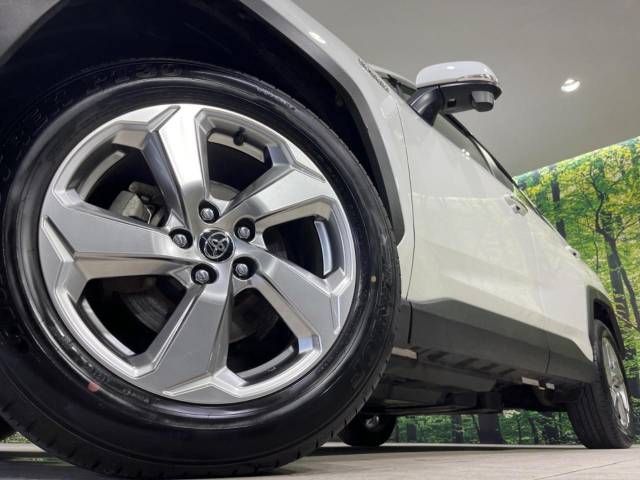 Toyota RAV4 2019-04 192776-13
