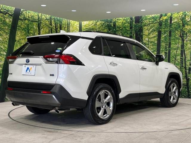 Toyota RAV4 2019-04 192776-17