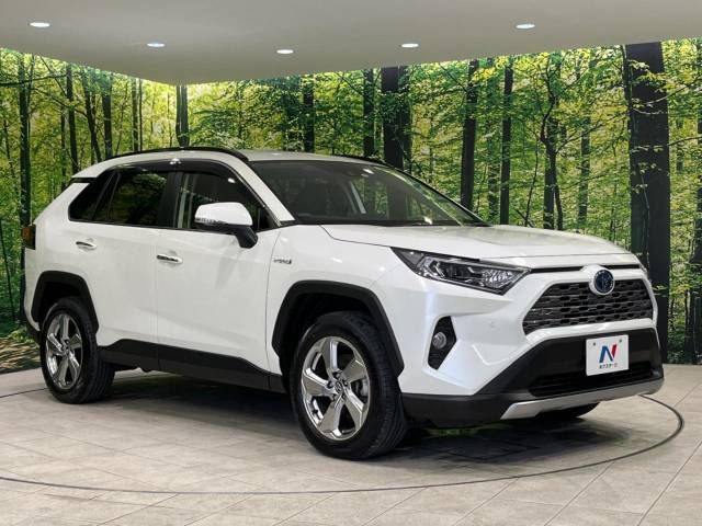 Toyota RAV4 2019-04 192776-16