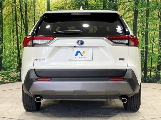 Toyota RAV4 2019-04 192776-15