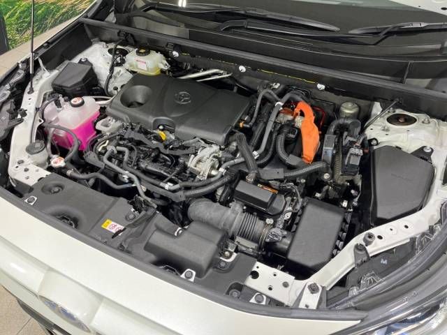 Toyota RAV4 2019-04 192776-18