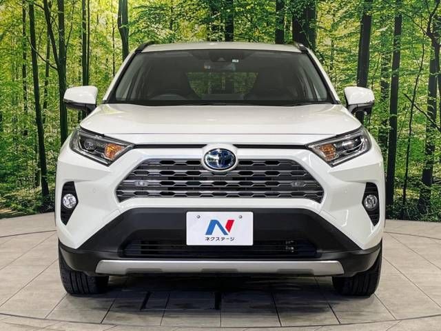 Toyota RAV4 2019-04 192776-14