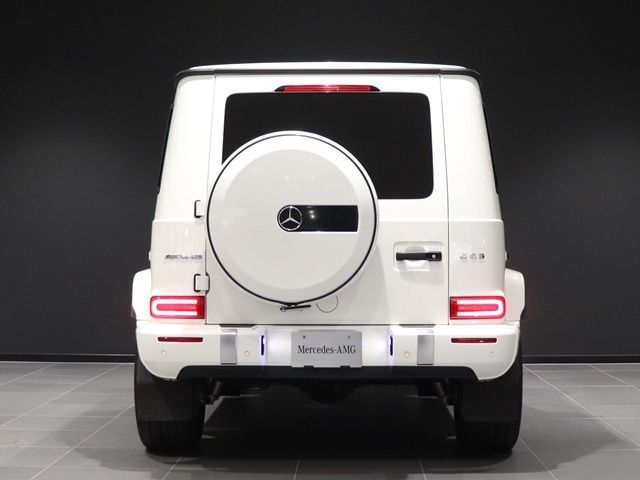 Amg G-CLASS 2020-12 24106-11