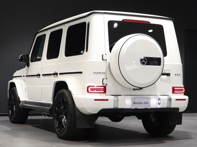 Amg G-CLASS 2020-12 24106-12