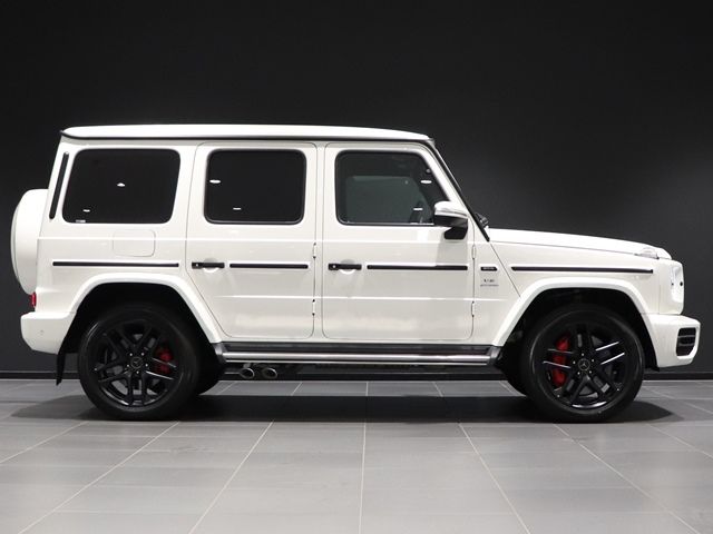 Amg G-CLASS 2020-12 24106-8