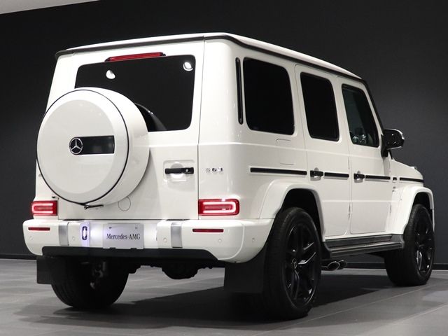 Amg G-CLASS 2020-12 24106-10