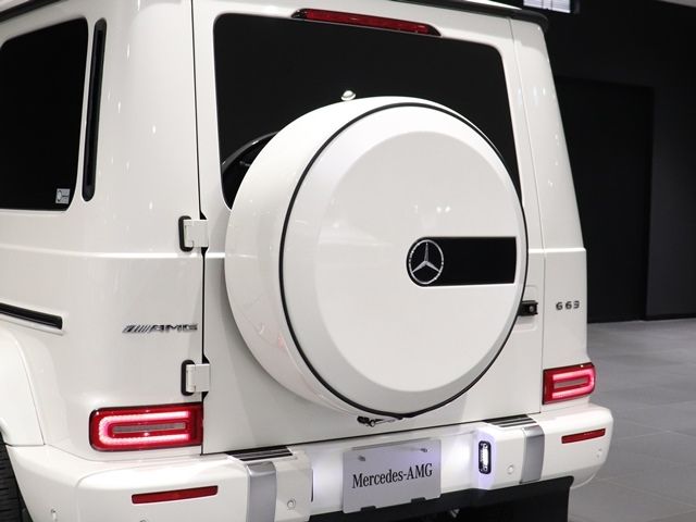 Amg G-CLASS 2020-12 24106-15