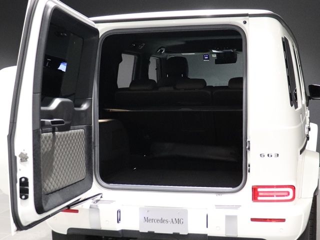 Amg G-CLASS 2020-12 24106-16