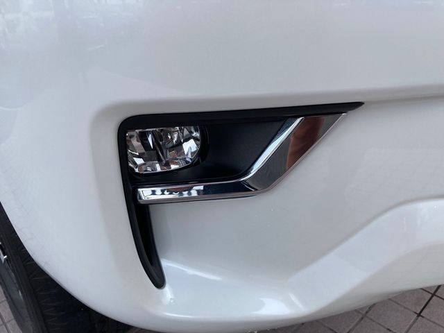 Toyota PRADO 2020-11 188134-4