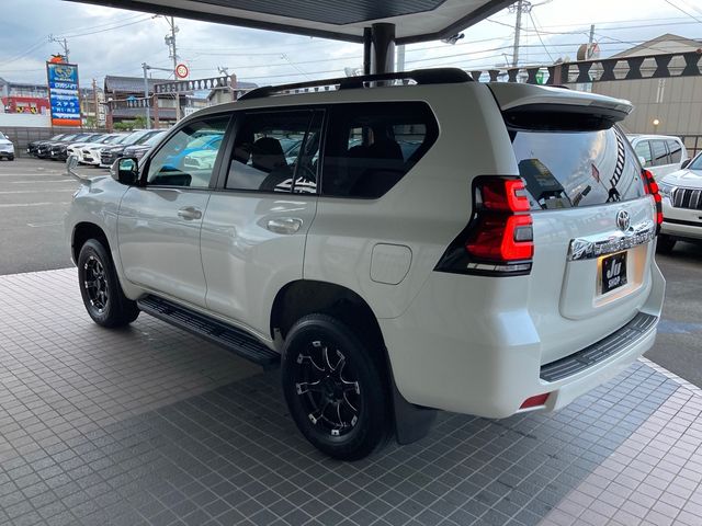 Toyota PRADO 2020-11 188134-8