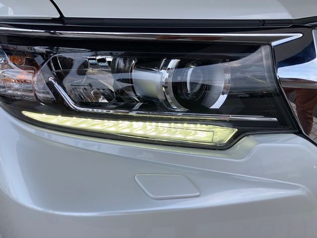 Toyota PRADO 2020-11 188134-3