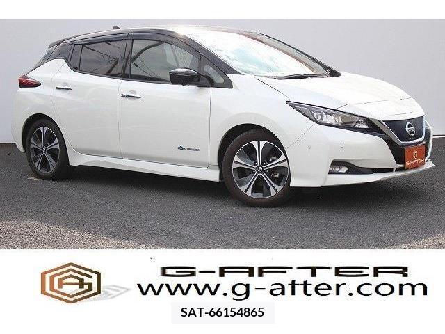 Nissan LEAF 2020-02 367079-0