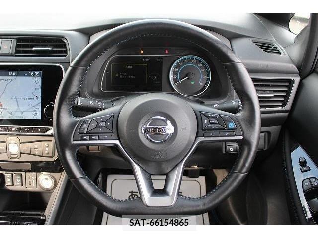 Nissan LEAF 2020-02 367079-8