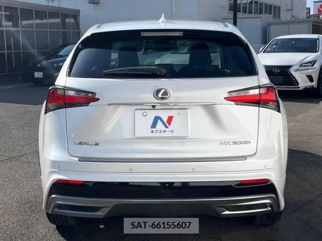 Lexus NX 2015-10 229127-15