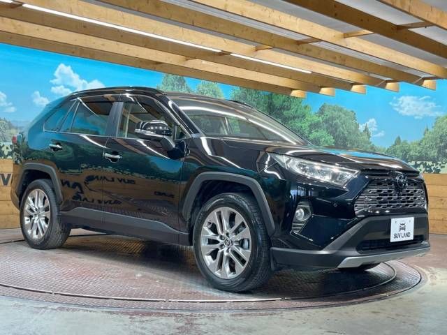 Toyota RAV4 2020-10 11509-14