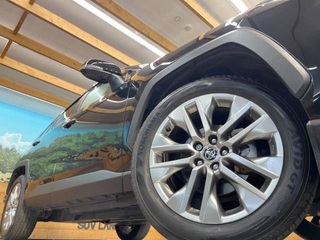 Toyota RAV4 2020-10 11509-17