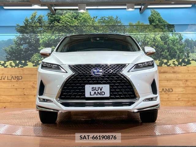 Lexus RX 2021-06 354097-14