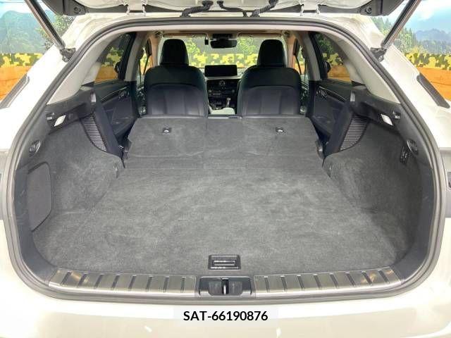 Lexus RX 2021-06 354097-10