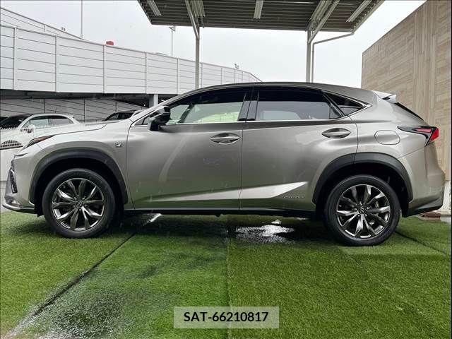 Lexus NX 2019-06 354014-13