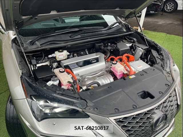 Lexus NX 2019-06 354014-9