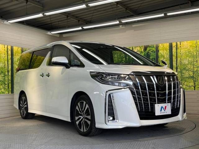Toyota ALPHARD 2018-12 195456-17