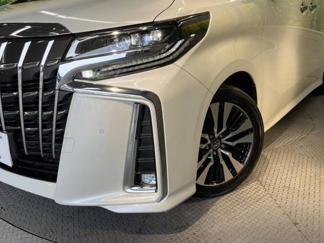 Toyota ALPHARD 2018-12 195456-13
