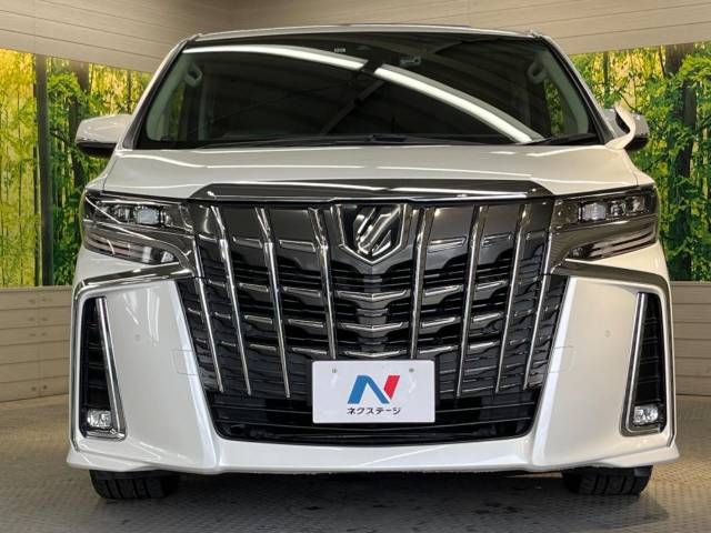 Toyota ALPHARD 2018-12 195456-15