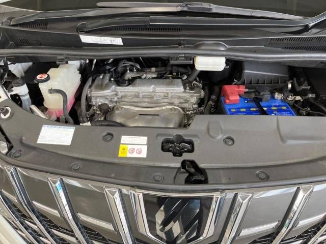 Toyota ALPHARD 2018-12 195456-18