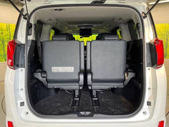 Toyota ALPHARD 2018-12 195456-11